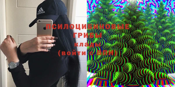 не бодяженный Строитель