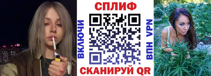 купить наркотики цена  Верея  Каннабис сатива 